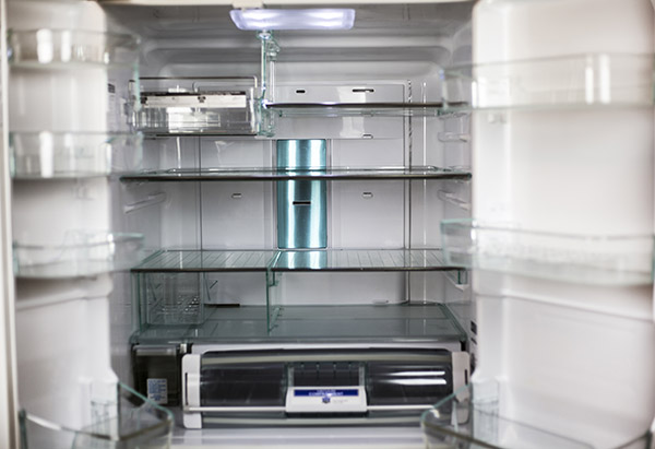What Kind Of Garage Fridge Should I Get, Which Freezer Is Suitable For A Garage